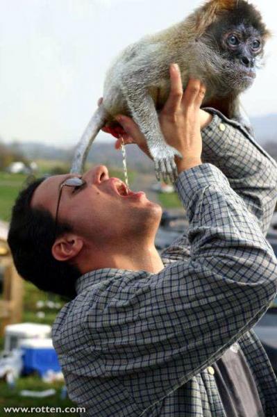 hahahaha........................................